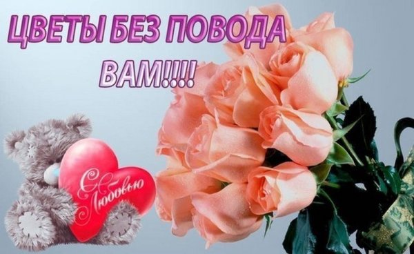 Цветы без повода открытки красивые