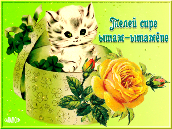 Красивые открытки просто так