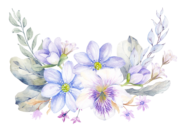 Прозрачные Акварельные цветы