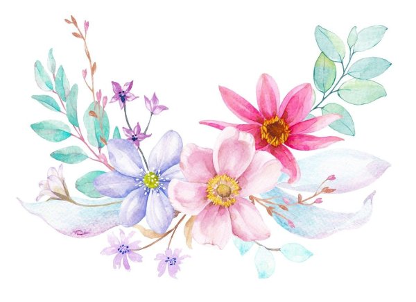 Акварельные цветы на белом фоне
