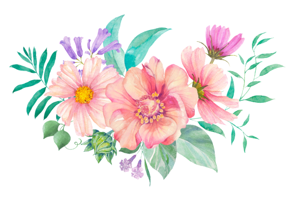 Цветы акварель на прозрачном фоне