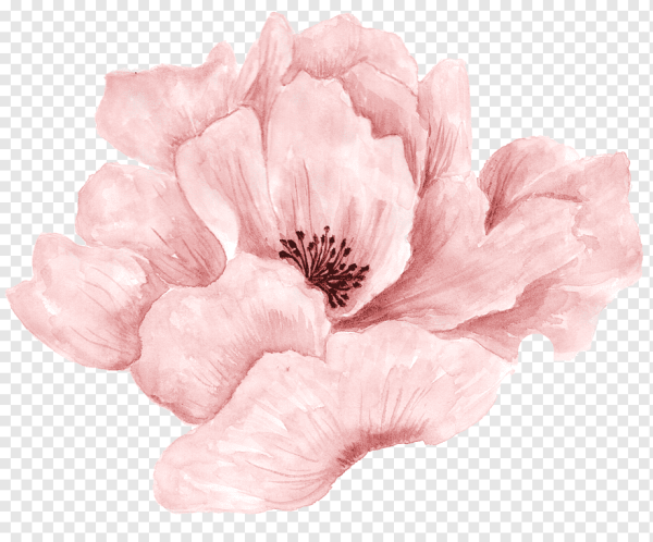 Красивые Акварельные цветы