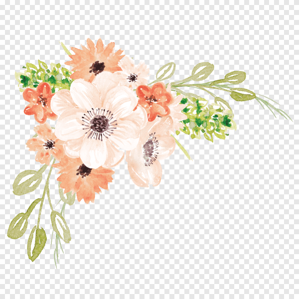 Цветы акварель без фона