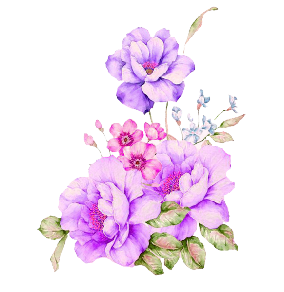 Акварельные пионы Gyu