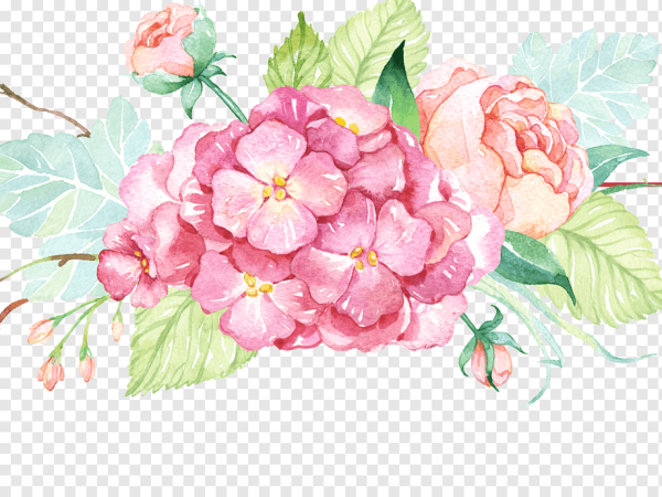 Гортензия акварель