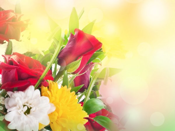 Праздничные цветы