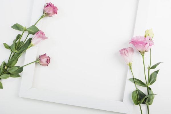 Белый фон с цветами