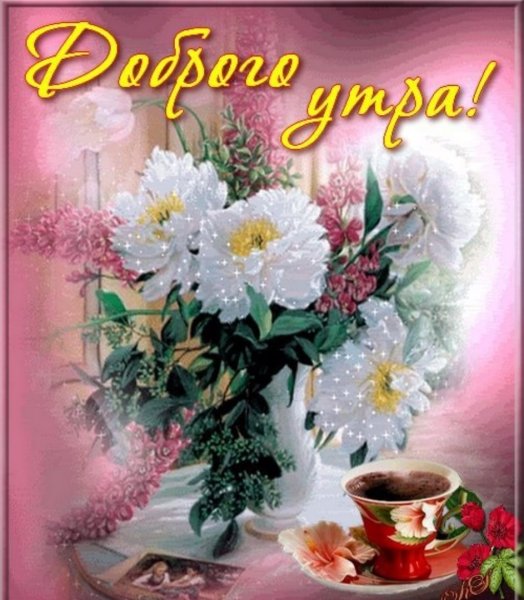 Добрый день девушке с цветами