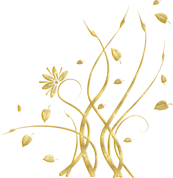 Золотые узоры на белом фоне