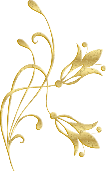 Золотистые цветы на прозрачном фоне