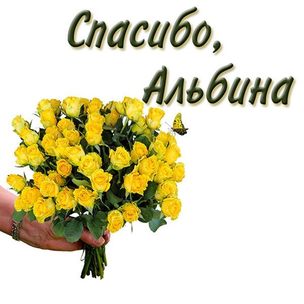 Настя спасибо большое