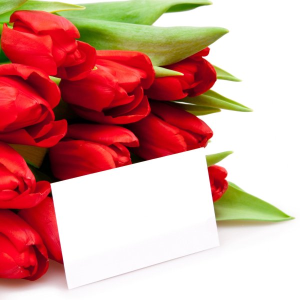 С днёмрожденияальбина