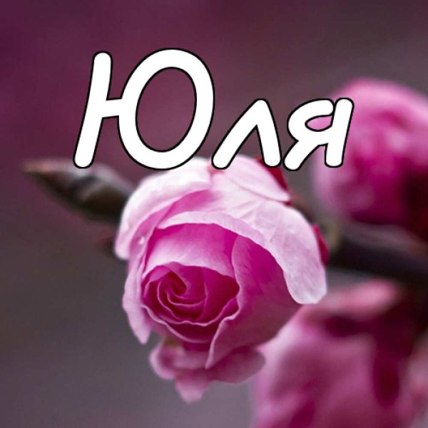 Фон поздравляем