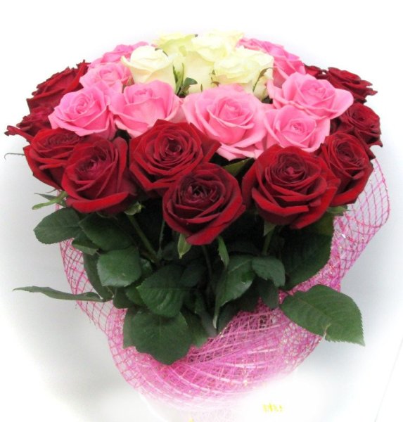 Поздравления с днём рождения Альбине открытки