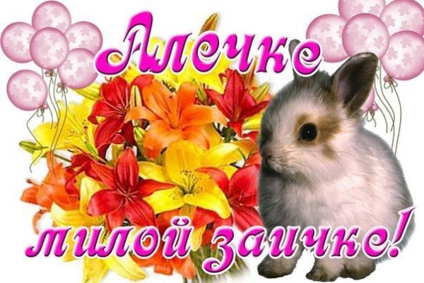 Розы для Альбины