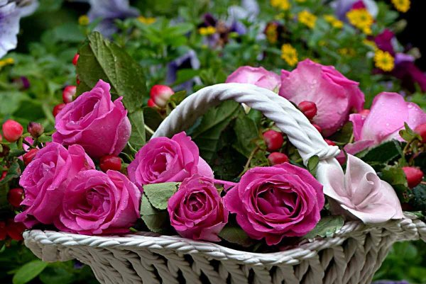 Корзинка с розами