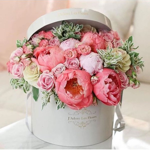 Поздравления с днём рождения пионы