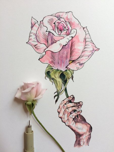 Скетч в цвете