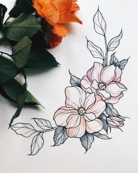 Цветы эскиз