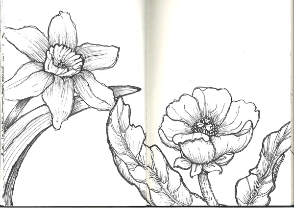 Скетчи цветов для детей