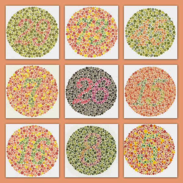 Теплые цвета