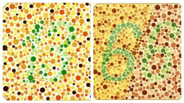 Тетрахромат тест