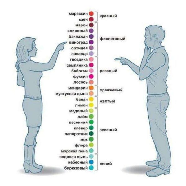 Таблица теплых и холодных цветов