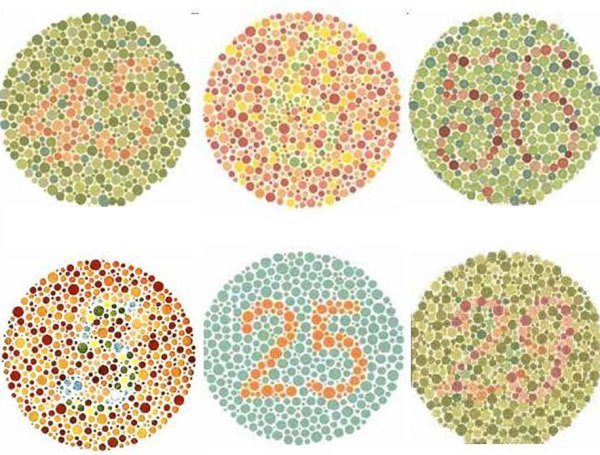 Название всех цветов и оттенков