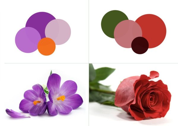 Тетрахроматия тест