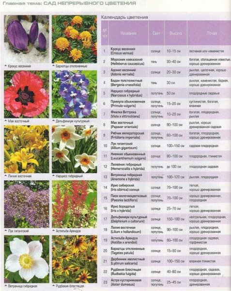 Подкормки многолетников таблица