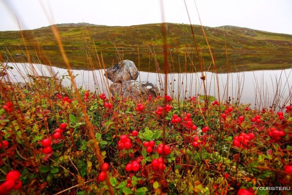 Северная природа Кольский полуостров