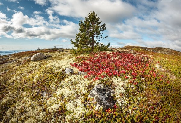 Кольский полуостров осенью