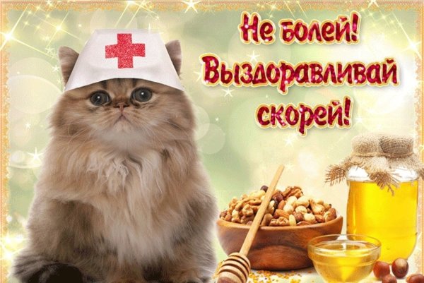 Не болей выздоравливай скорей