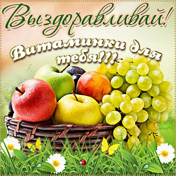 Не болей выздоравливай