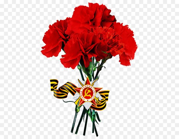 Букет гвоздик с георгиевской лентой