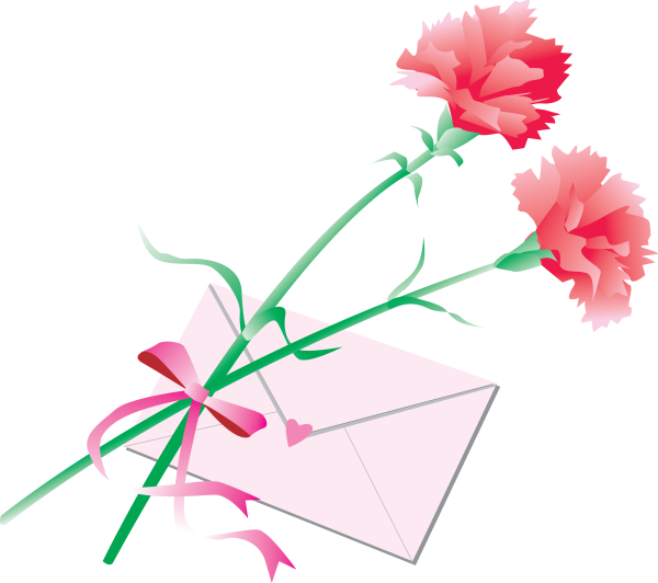 Гвоздики открытка