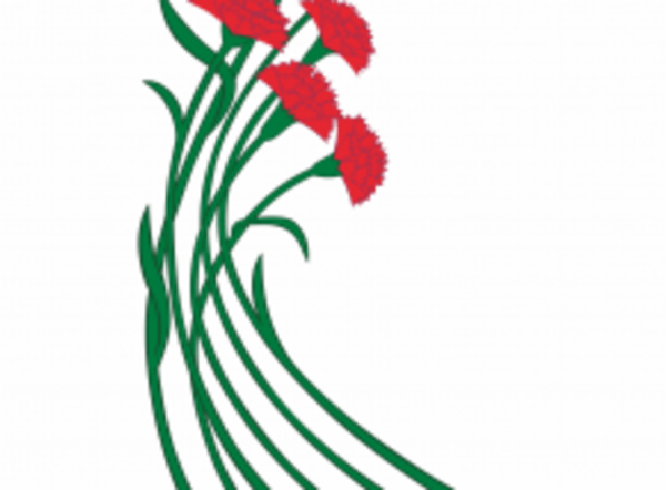 Стилизованная гвоздика