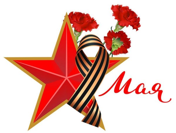 Красная гвоздика 9 мая символ