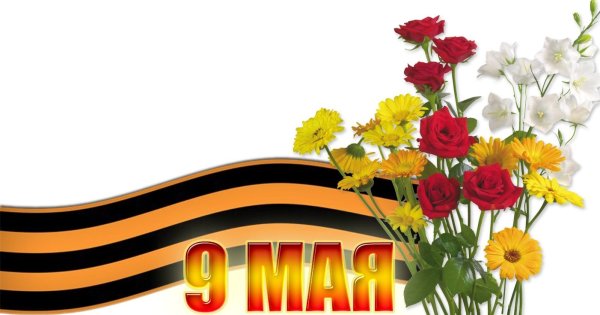 Гвоздики 9 мая