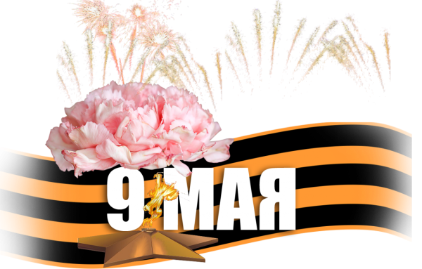 Букет маков на прозрачном фоне