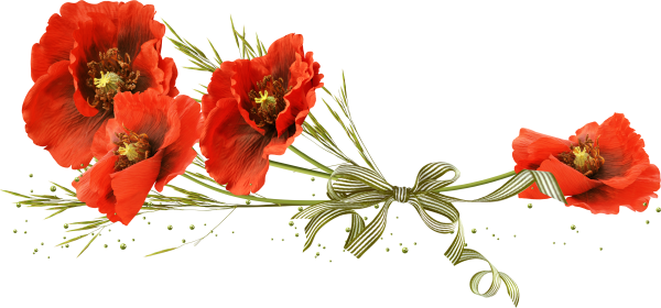 Гвоздики с георгиевской лентой