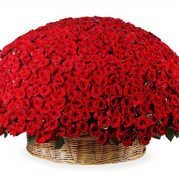 Корзина цветов