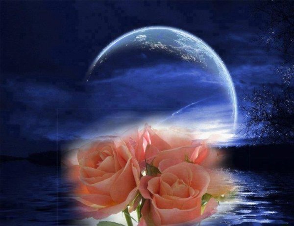 Спокойной ночи с красивыми цветами