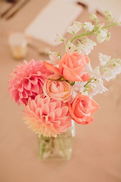 Коралловые рифы коралловые