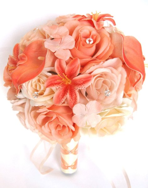 Гвоздика Диантус