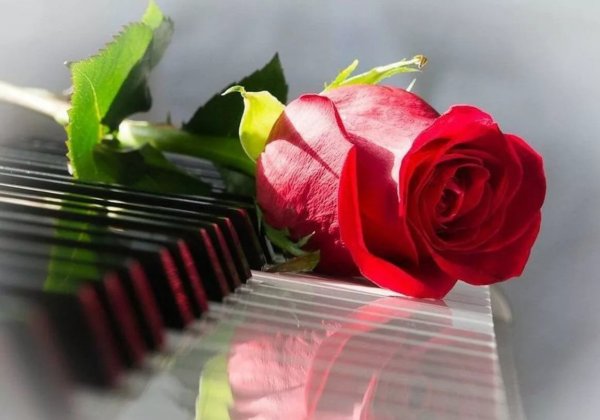 Открытки прекрасного настроения