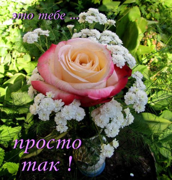 Это тебе просто так