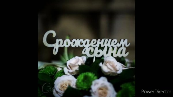 Малыш с розой