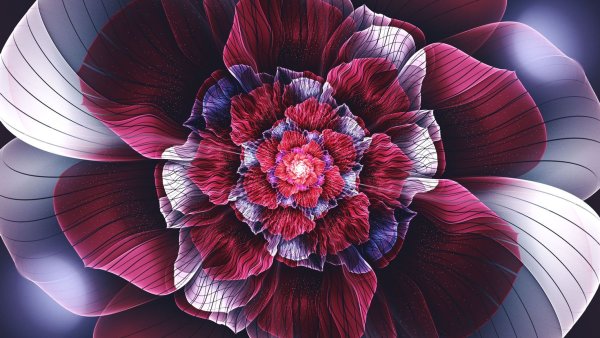 Симметричный цветок