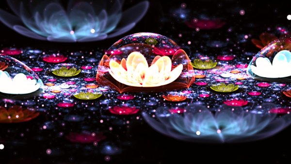 Монитор BENQ LCD 19